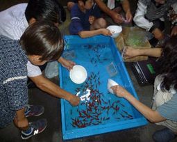金魚すくい